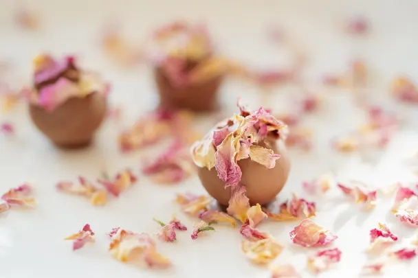 Kasino Generation VIP Apl Android/iOS